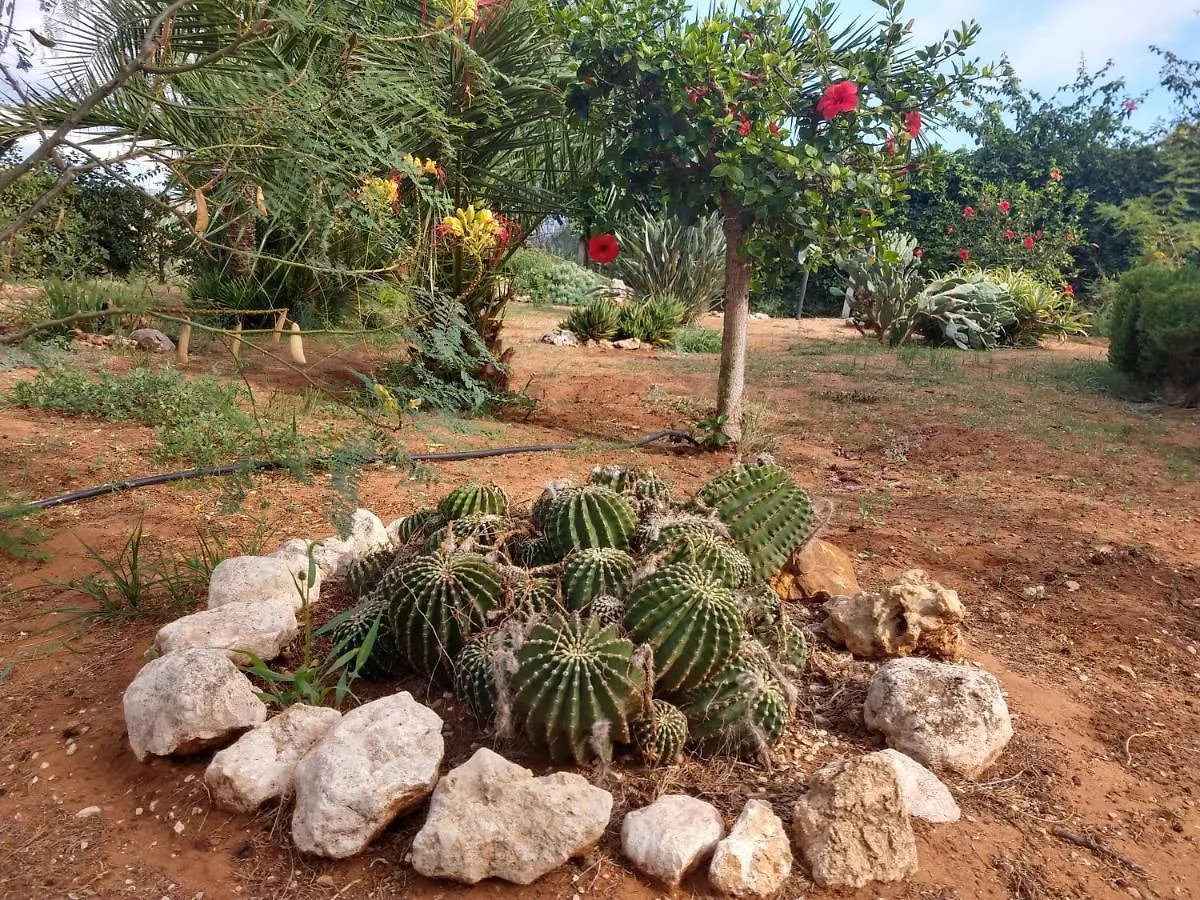 Il Gazebo Bed & Breakfast Scoglitti